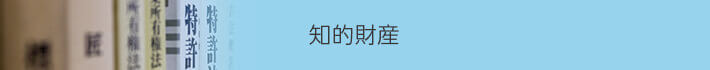 知的財産